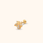 14K Tragus Örhänge Bi I Äkta Guld Med Zirkonia Cartilage Stud - Noxlookjewelry