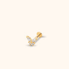 14K Tragus Örhänge Fjäril I Äkta Guld Med Zirkonia Minimalistiskt - Noxlookjewelry