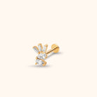 14K Tragus Örhänge Mixed Cut Cluster I Äkta Guld Elegant Cartilage Stud - Noxlookjewelry